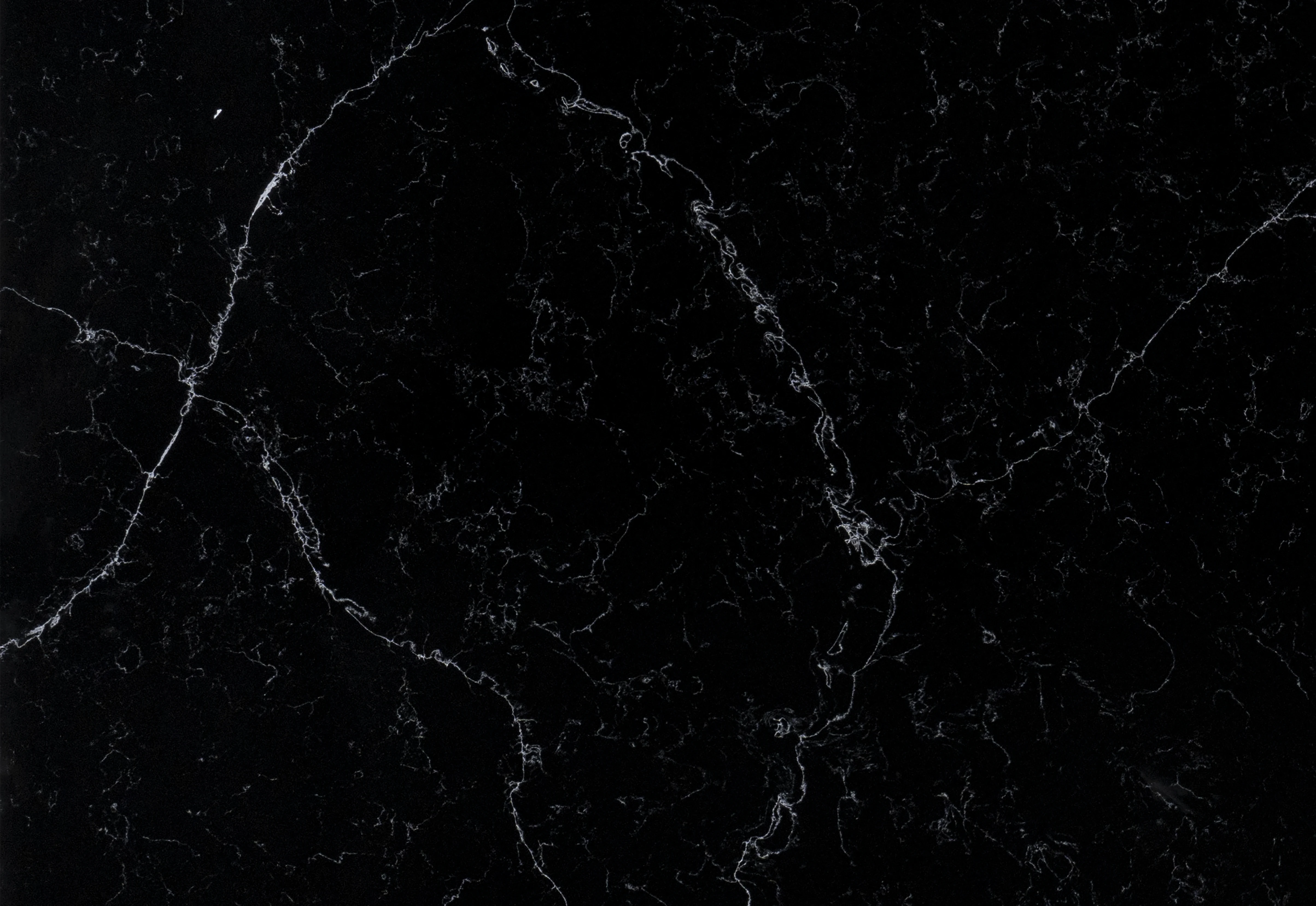 CL Black Enigma Close Up