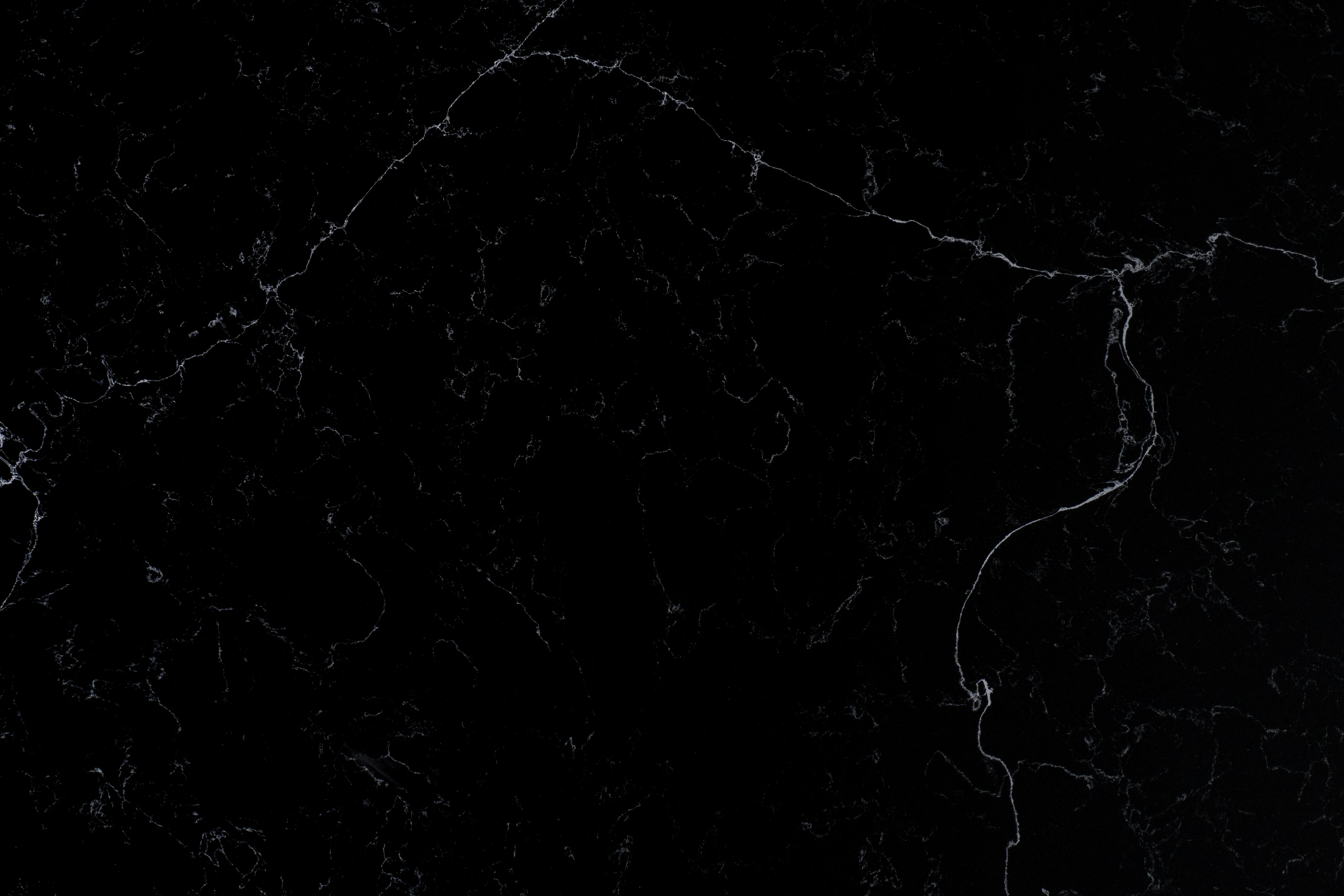 CL Black Enigma Close Up