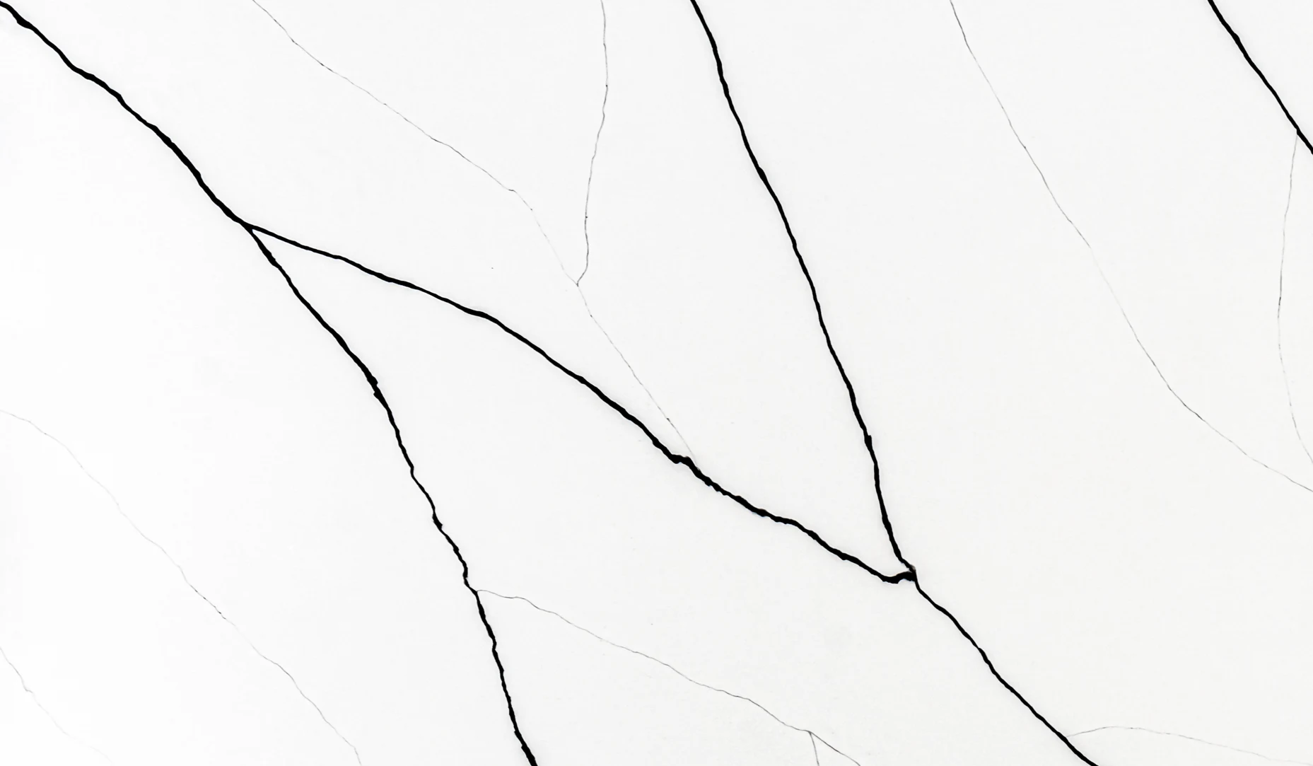 CL Venetion Close Up