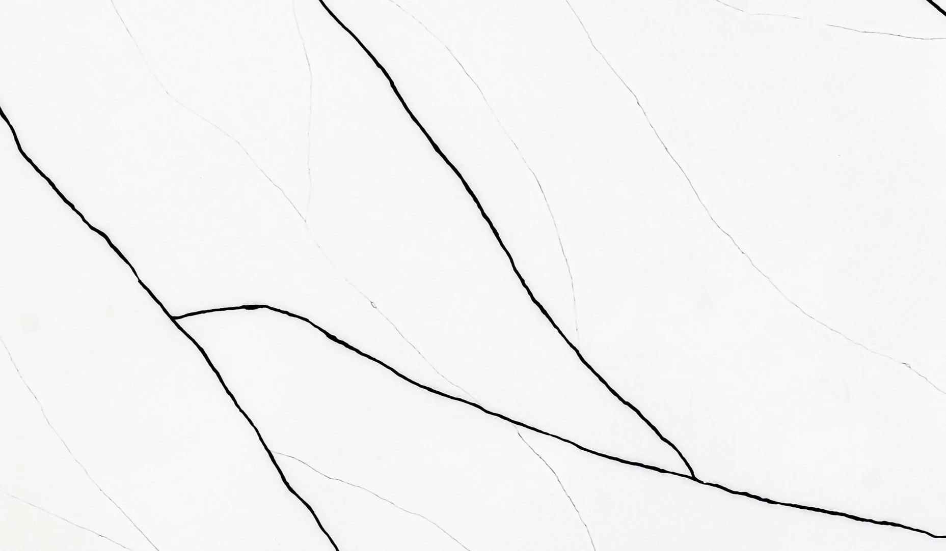 CL Venetion Close Up